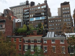 IMG_1290