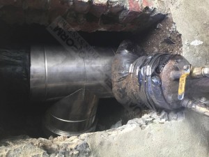 ProForm101